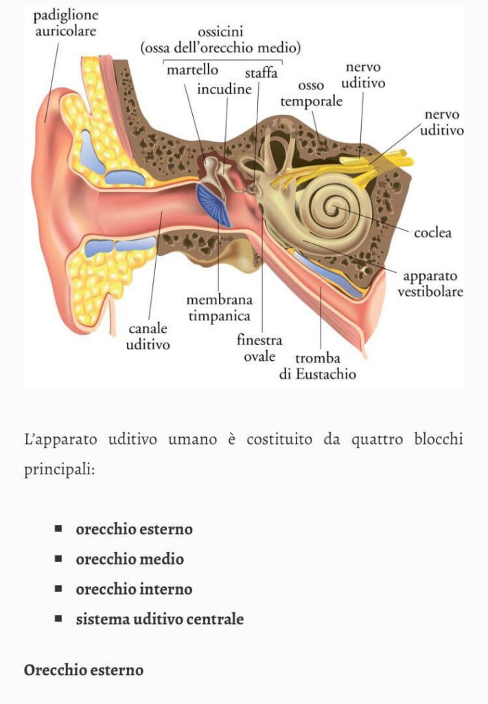 padiglione orecchio